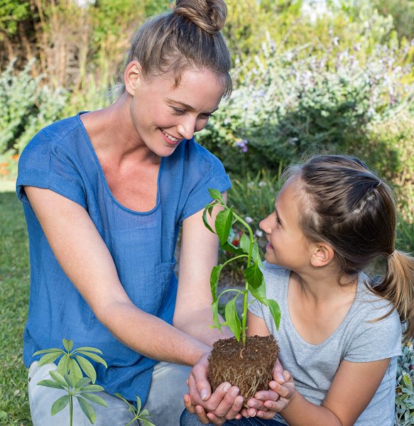 pygmy marmoset for sale