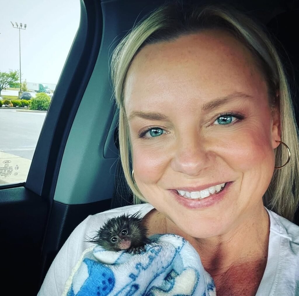 pygmy marmoset for sale